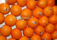 鲜果秀 深圳新鲜水果与礼品供应指南